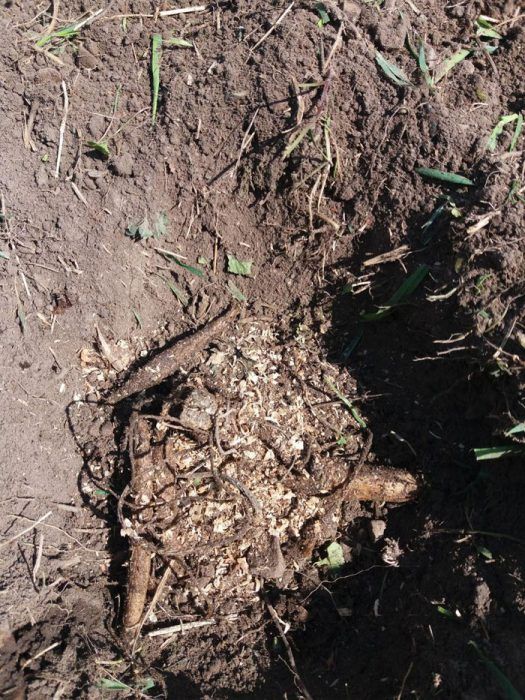 Μια σκαμμένη τρύπα