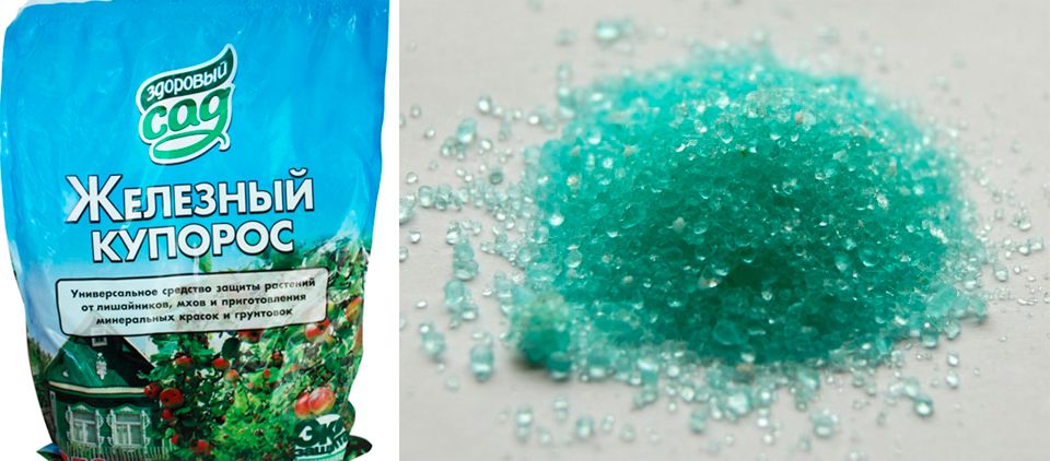 Превенция на заболяванията Железен сулфат