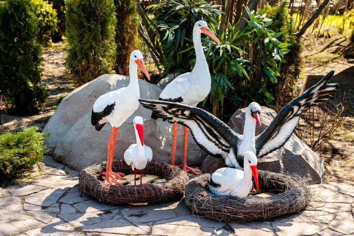 Градински скулптури Щъркелите са популярни градински скулптури.