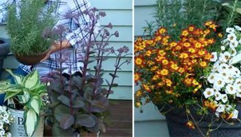 Изработване на букет