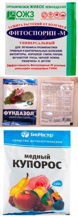 Средства за борба с късната болест