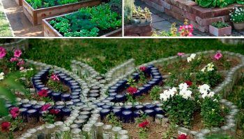 Видове легла