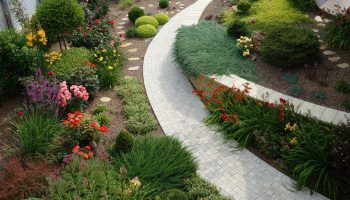 Миксбордер за алпинеум