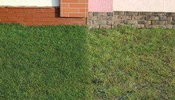 Морава след зимата