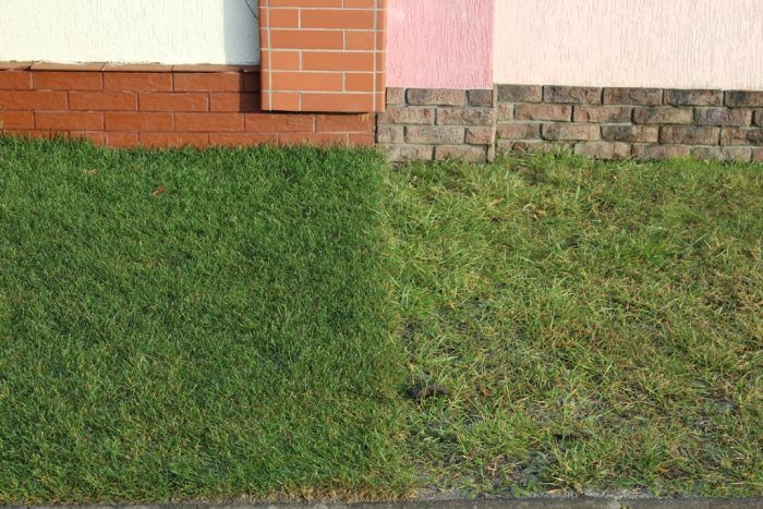 Морава след зимата