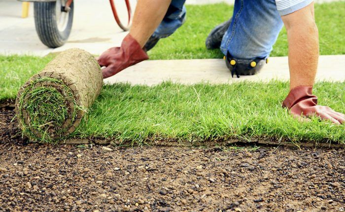 Полагане на тревата