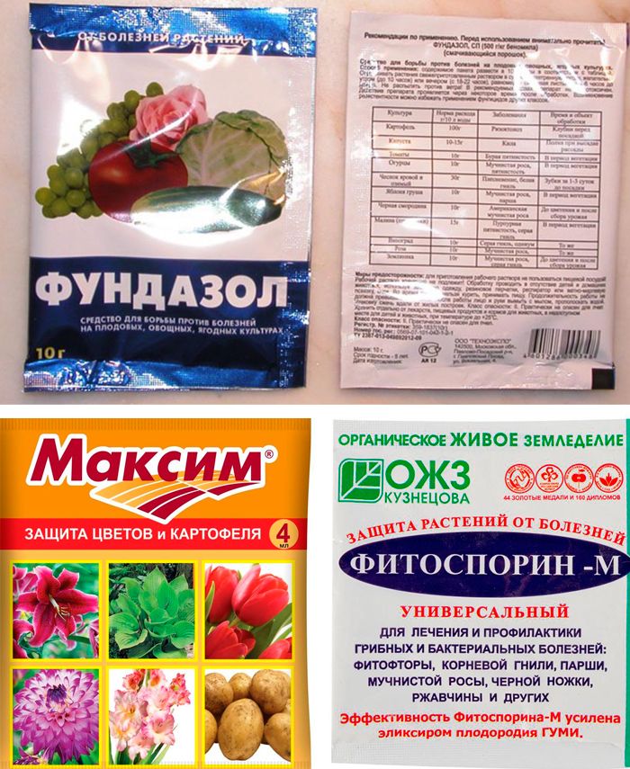 Популярни лекарства за фузариум Средства за лечение на фузариум