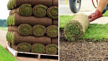 Валирана морава