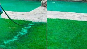 Течна морава