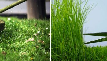 Косене на тревата