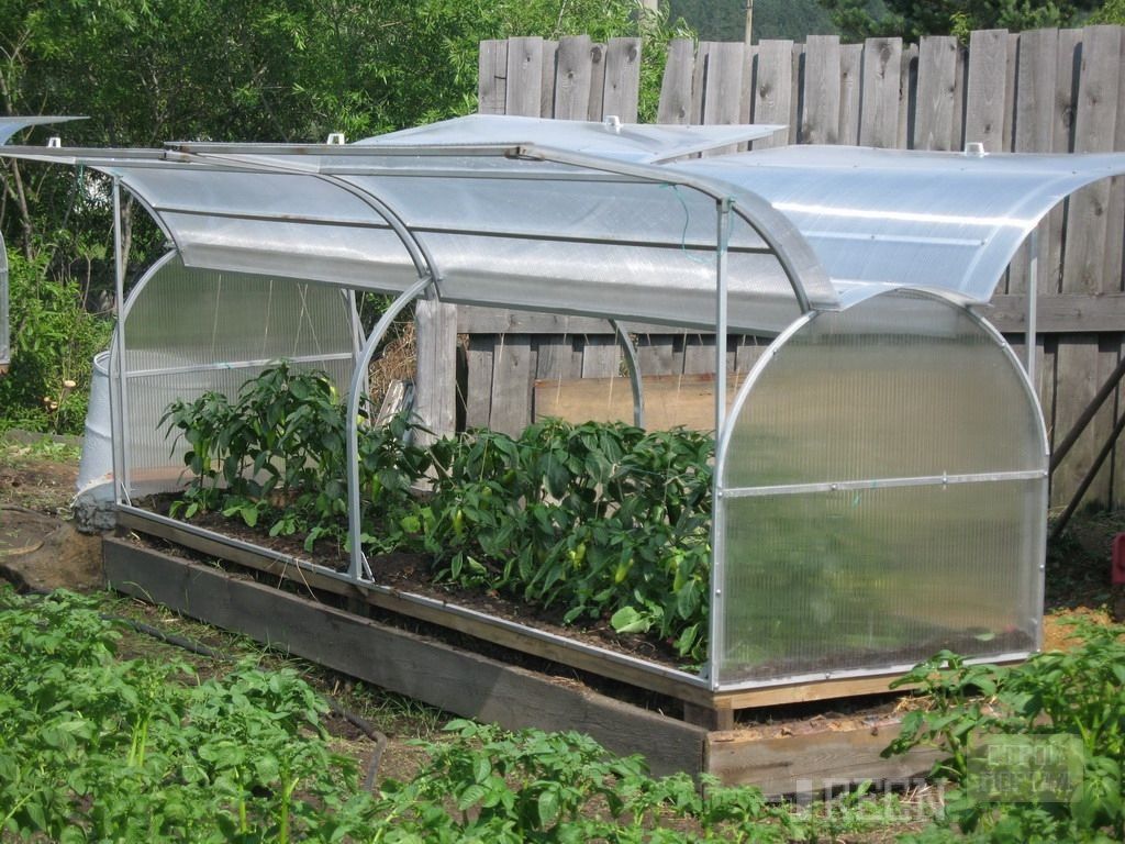 Θερμοκήπιο πεταλούδων