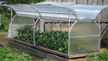 Оранжерия с пеперуди