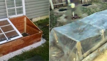 Направи си сам оранжерии