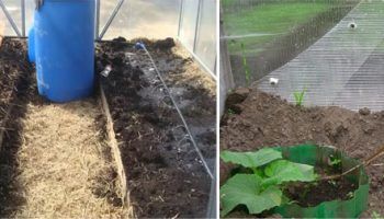 Капково напояване