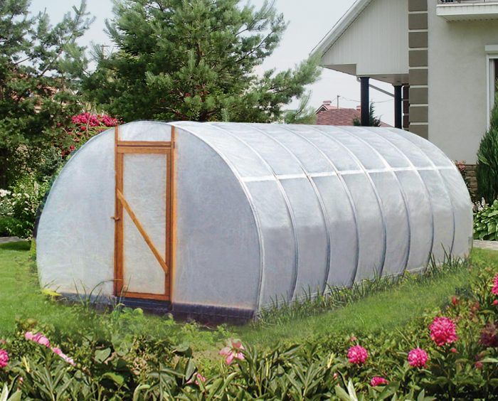 Условно капиталова оранжерия