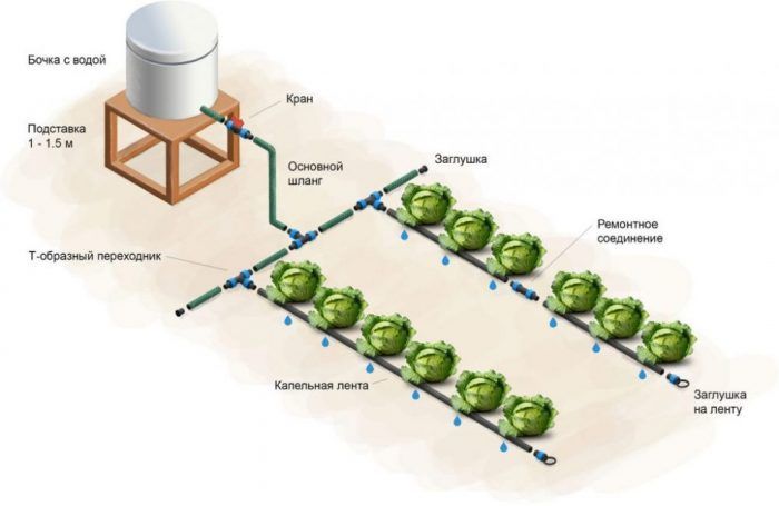 Система за капково напояване