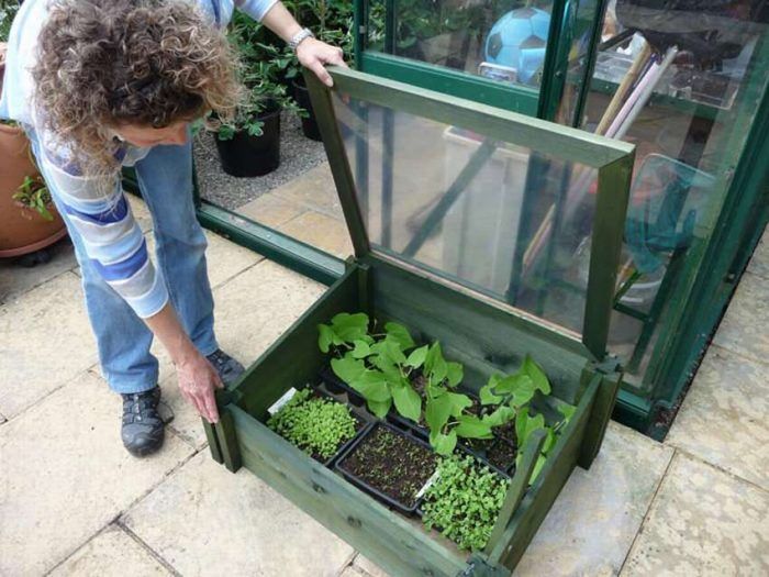 Φορητό θερμοκήπιο