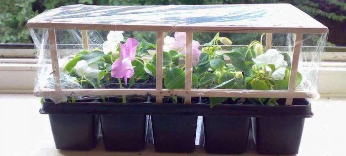 Μίνι θερμοκήπιο στο παράθυρο