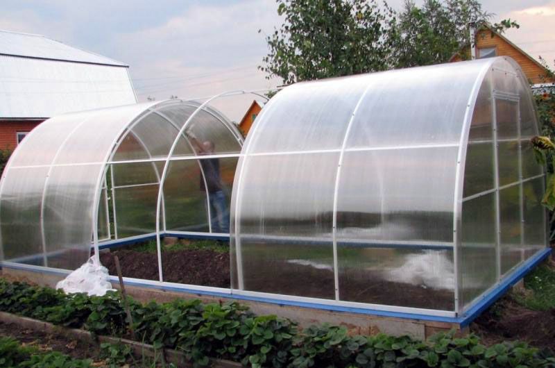 Аркова оранжерия