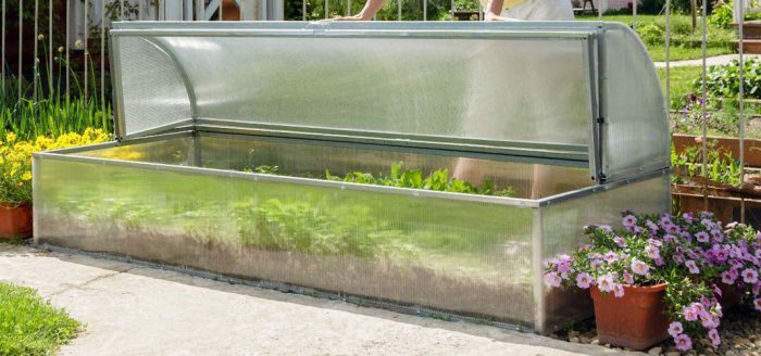 Πράσινο σε ένα θερμοκήπιο