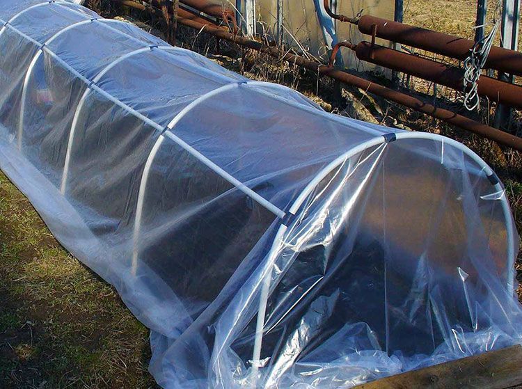 Оранжерия от пластмасови тръби Оранжерия от полипропиленови тръби