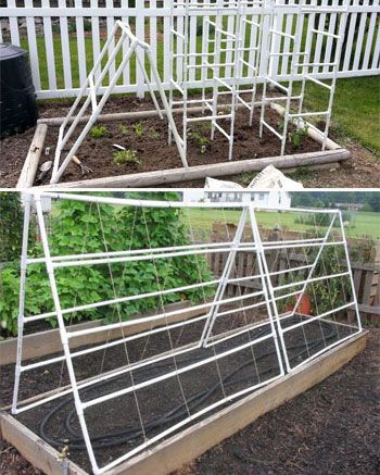 Изработени от полипропиленови тръби Подкрепа за краставици