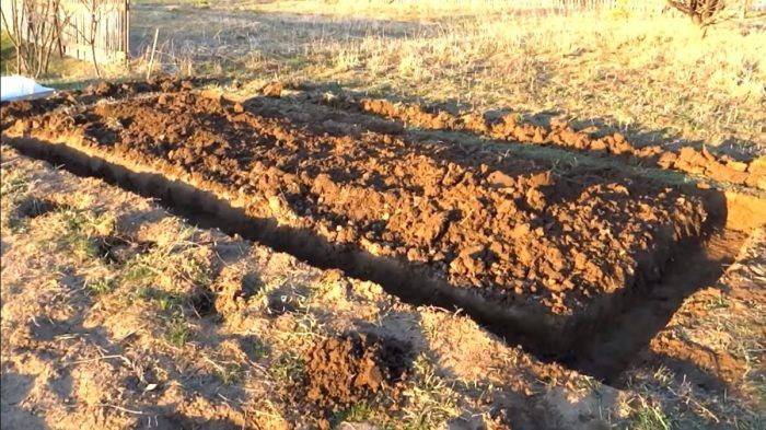 Σκάψιμο τάφρου