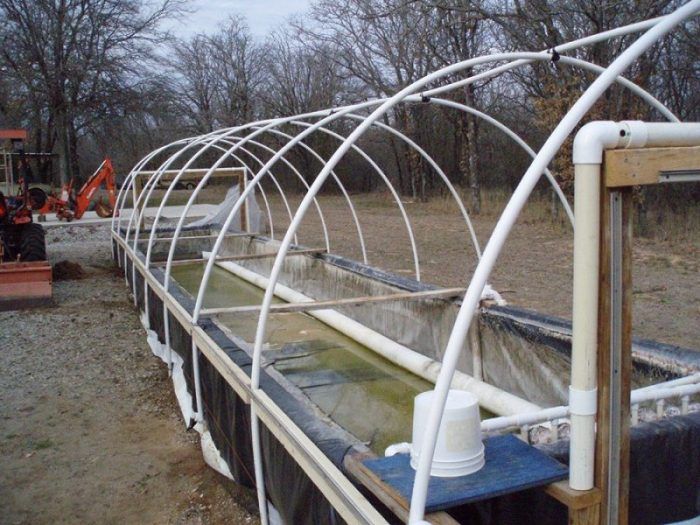 Аркова рамка