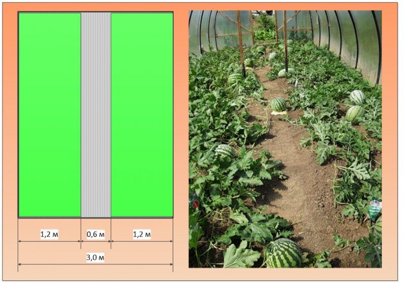 Една от опциите Първи вариант