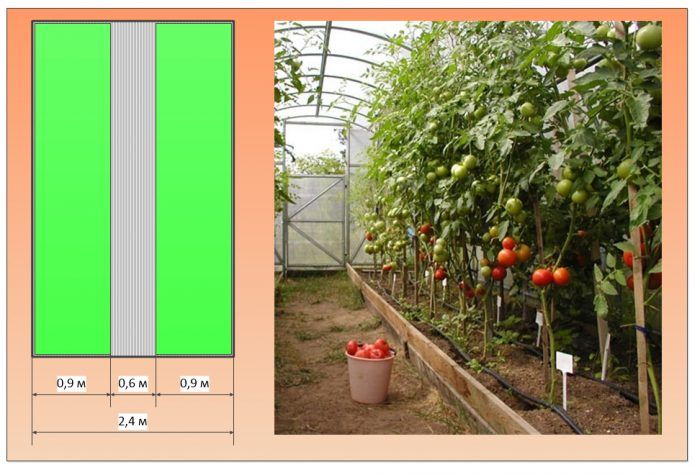 Две легла в оранжерия с размери 2,4 м Оранжерия 2,4 м
