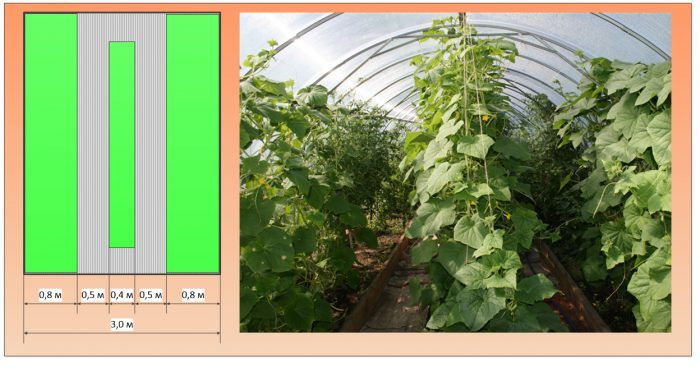 Стесняване на пътеките до 50 см Три легла