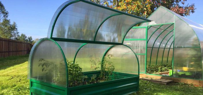 Оранжерия с пеперуди