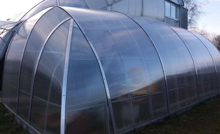 Опция за стенен монтаж на оранжерия Прикрепена оранжерия