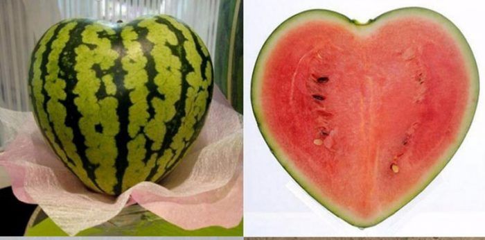 Диня във формата на сърце Форма на сърце