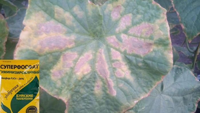 Дефицит на фосфор