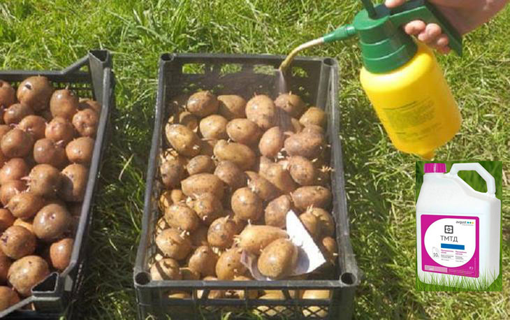 Предзасаждаща обработка Преработка на картофи