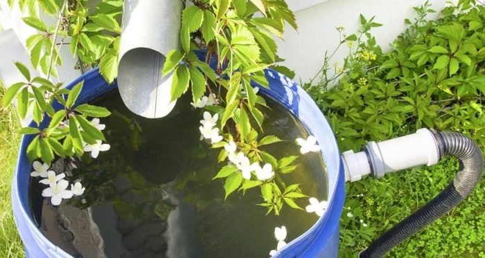 Дъждовна вода