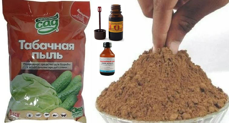 Спасяване на картофи Народни средства