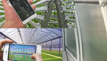 Умна оранжерия