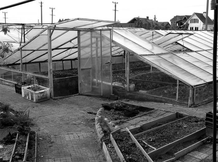 Умната оранжерия на Курдюмов