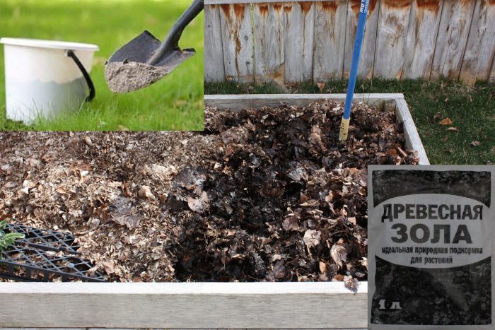 Пепел в компост