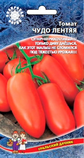 Сорт „Чудото на мързеливия човек“ Чудото на мързеливия човек