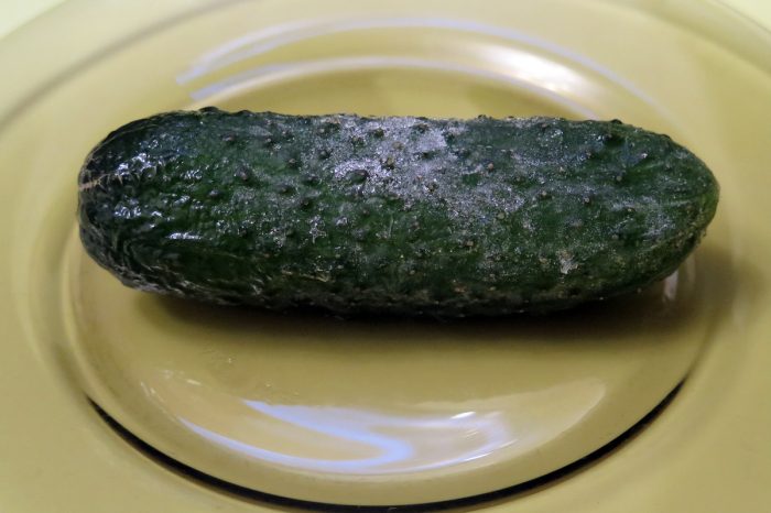 Замразена краставица