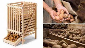 Съхранение на картофи