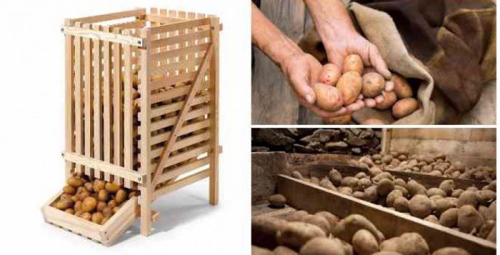 Съхранение на картофи