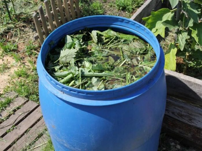 Билкова настойка