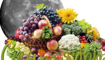 Лунен календар през септември