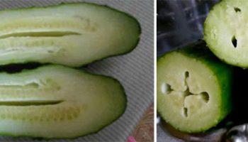 Празни краставици