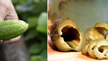 Увехнали краставици