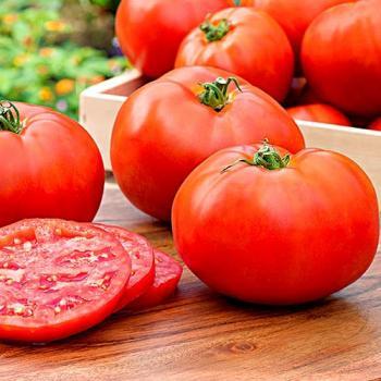 Сорт Урал F1 Урал F1